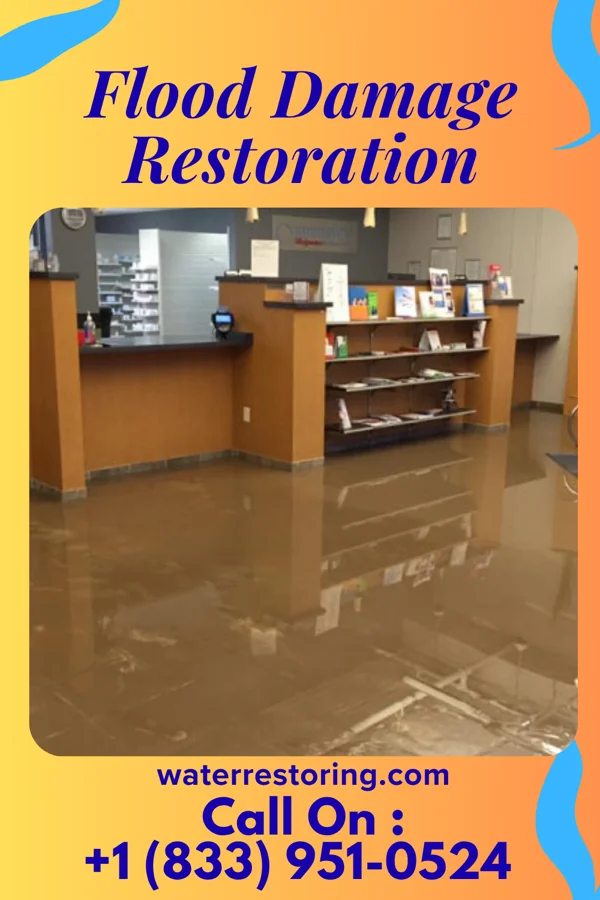 Flood Damage Restoration in Saugatuck, MI