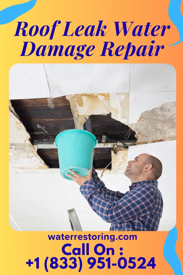 Roof Leak Water Damage Repair in Saugatuck, MI