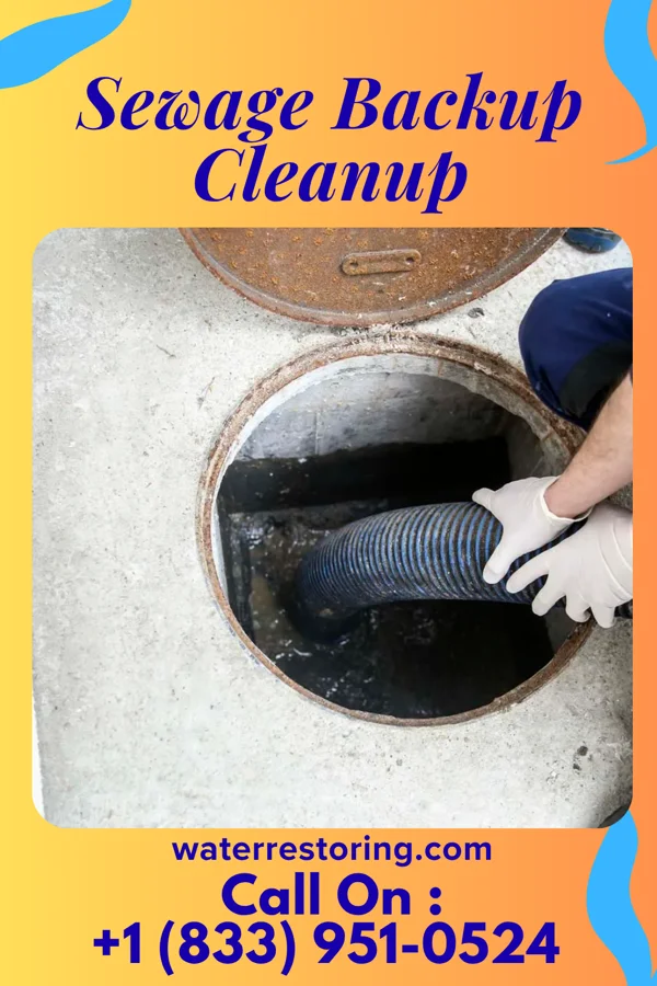 Sewage Backup Cleanup in Saugatuck, MI
