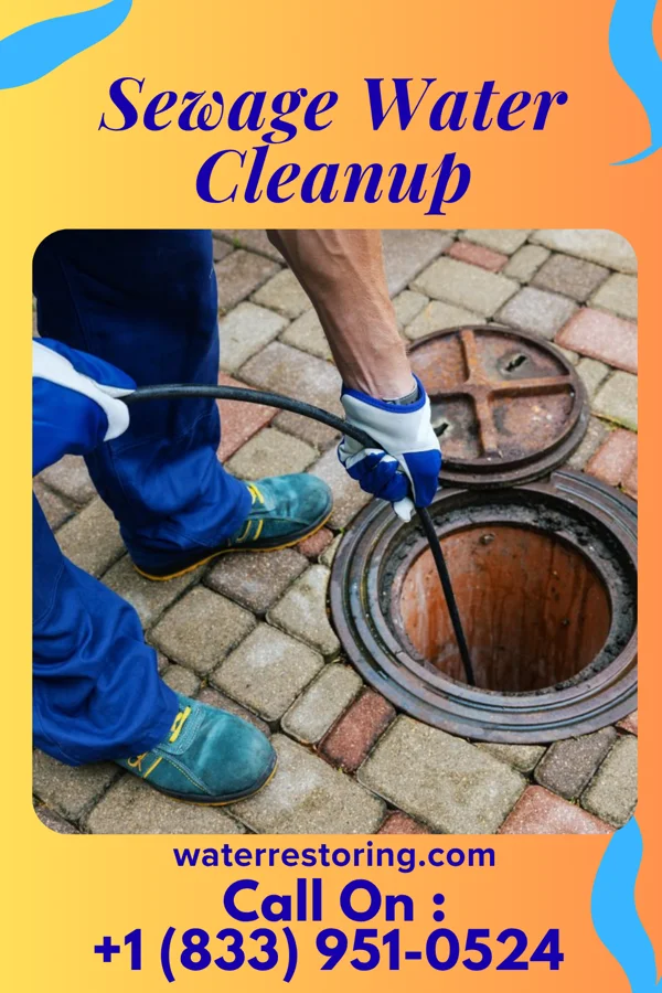 Sewage Water Cleanup in Saugatuck, MI